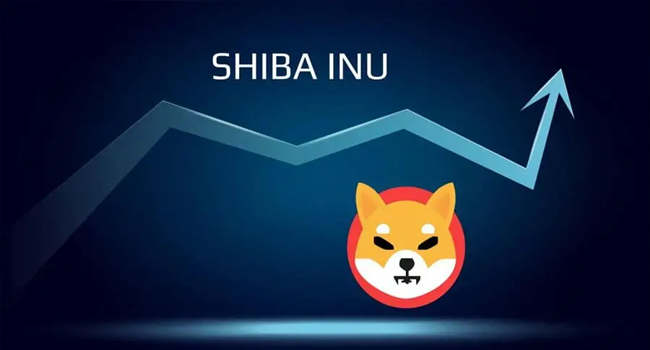 Shiba Inu Unleashed Beyond the Meme Analyzing the Long Term Potential of SHIB